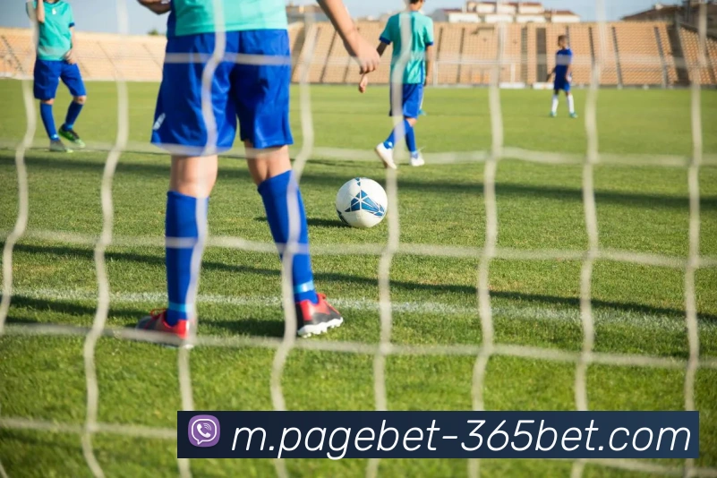 365bet平台生态图